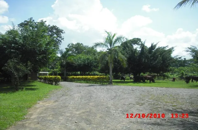 Rancho Piscina Garcia Sabana del Puerto Bonao